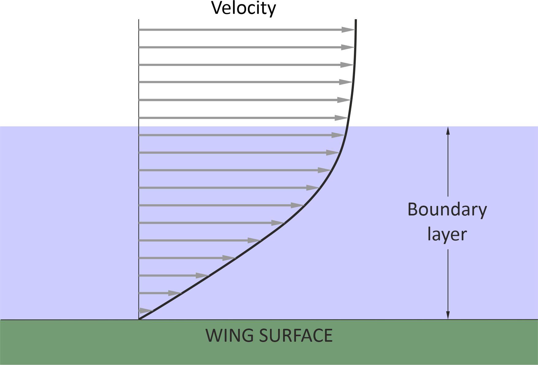 Fig1