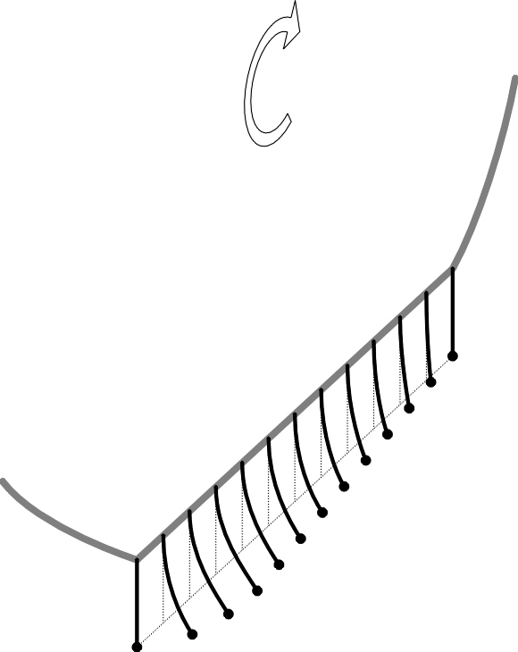 Bristles