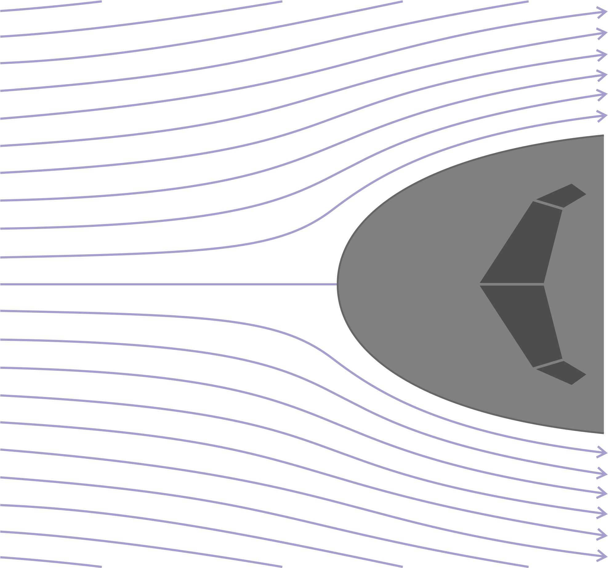 Streamnose