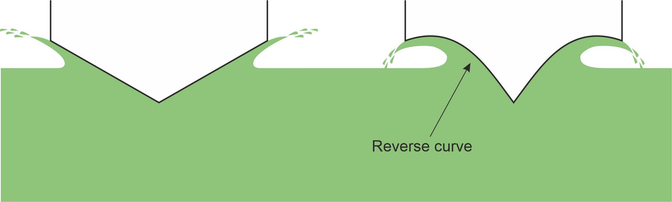 Revcurvex