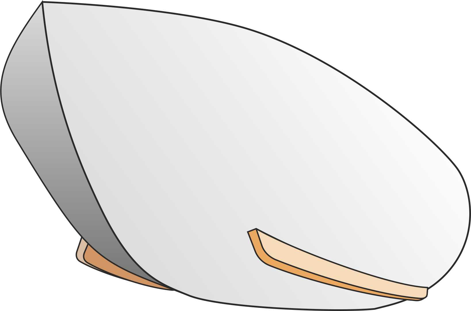 Bilgekeels