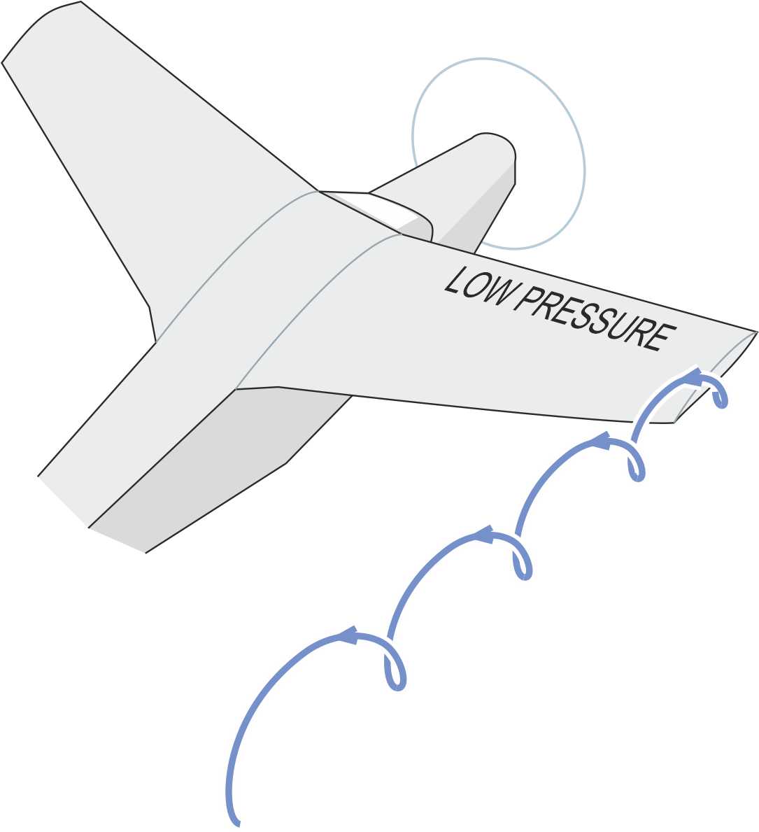 Wingvortex