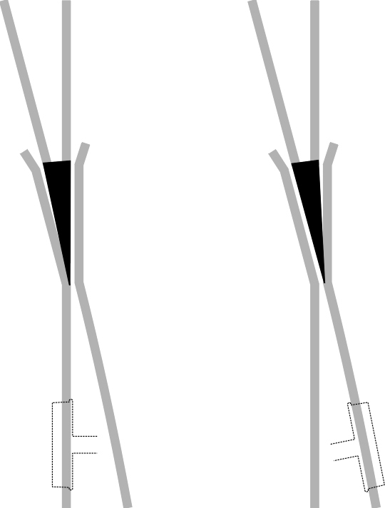 SwingNose