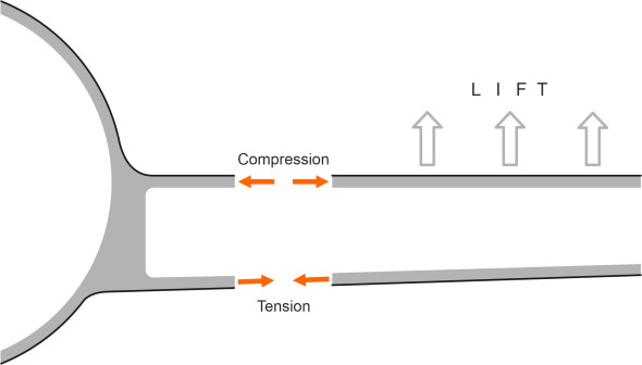 Fig3