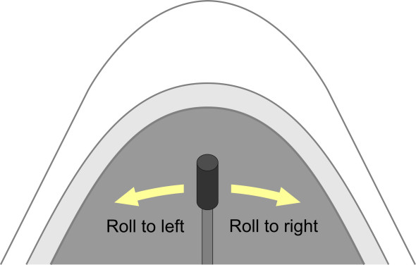 Fig10