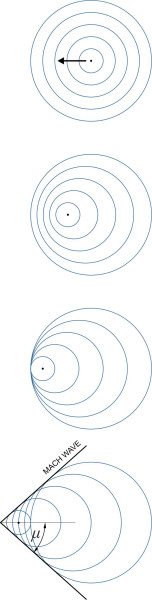 Fig3