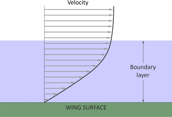 Fig1
